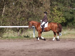 IMG_7894_web